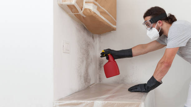 Professional Crawl Space Mold Removal technician working in Ashland, NJ
