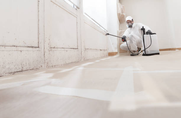24/7 Emergency Crawl Space Mold Removal experts in Ashland, NJ