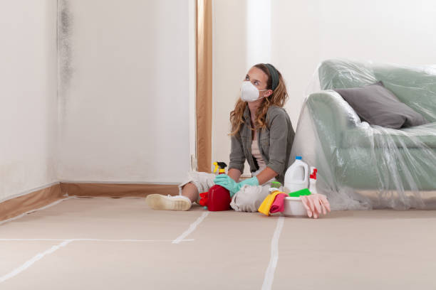 Reliable Crawl Space Mold Removal contractor in Ashland, NJ by WQB Mold Removal
